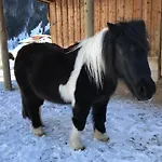 Pony-ziegen-hasen-ranch Appartement *