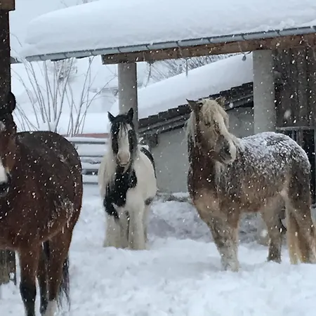 Pony-ziegen-hasen-ranch Bichlbach