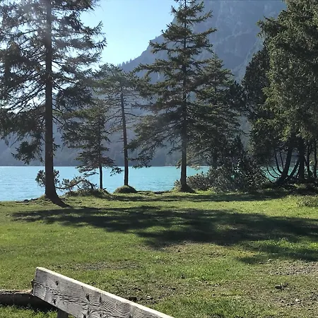 Pony-ziegen-hasen-ranch Daire Bichlbach