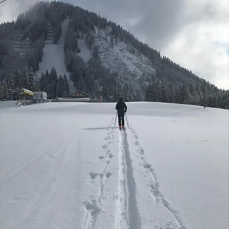 Daire Pony-ziegen-hasen-ranch