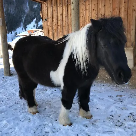 Pony-ziegen-hasen-ranch Daire *