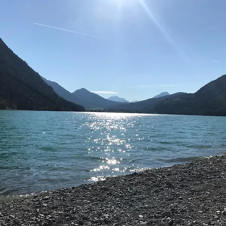 Pony-ziegen-hasen-ranch Bichlbach