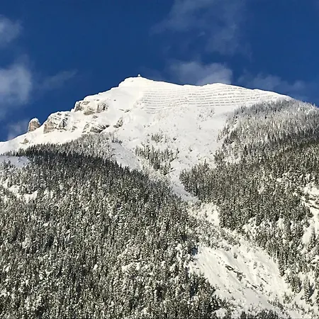 Pony-ziegen-hasen-ranch Daire Bichlbach