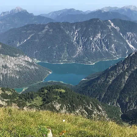 Pony-ziegen-hasen-ranch