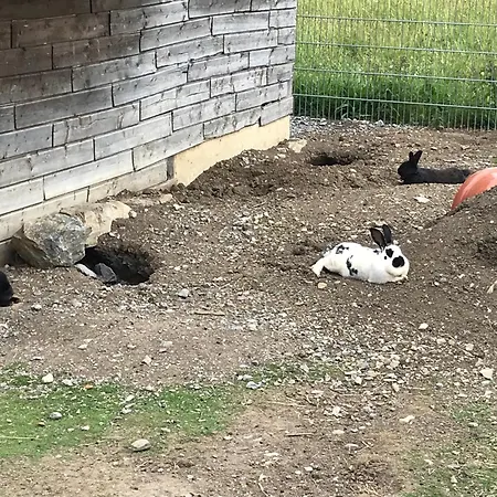 Pony-ziegen-hasen-ranch Apartman *