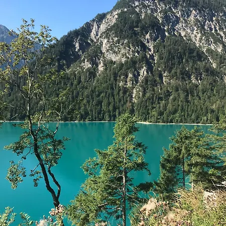 Pony-ziegen-hasen-ranch Bichlbach