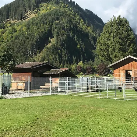 Pony-ziegen-hasen-ranch