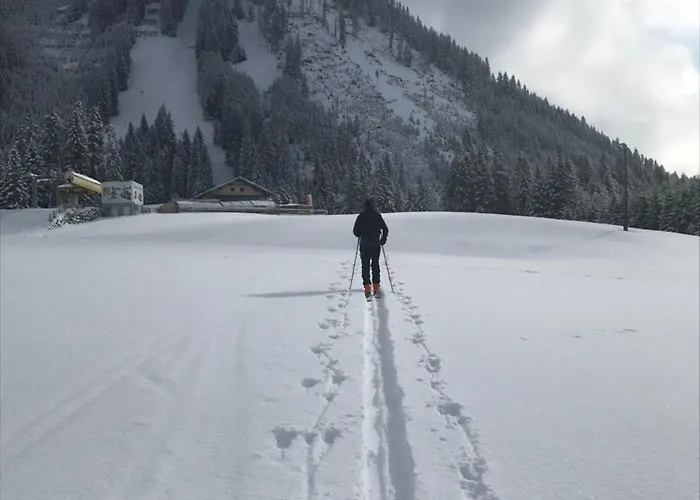 דירה Pony-ziegen-hasen-ranch