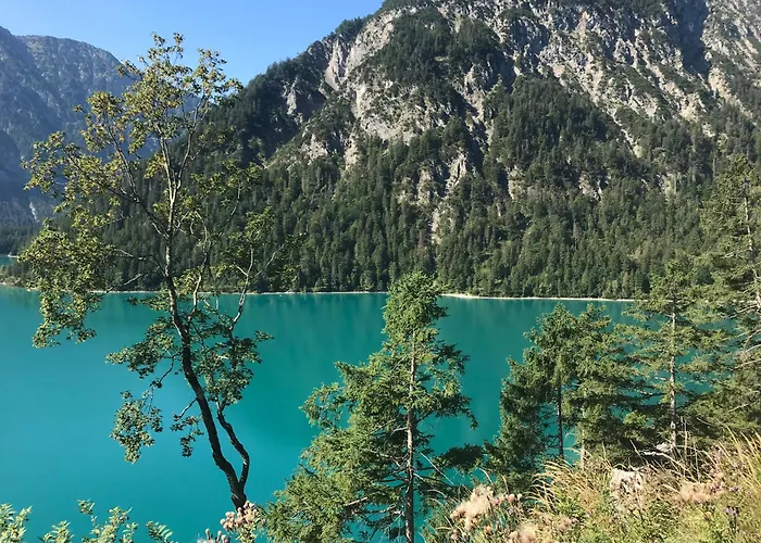 Pony-ziegen-hasen-ranch ביחלבאך