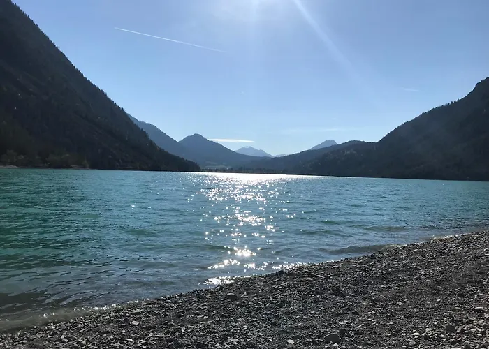 Pony-ziegen-hasen-ranch ביחלבאך