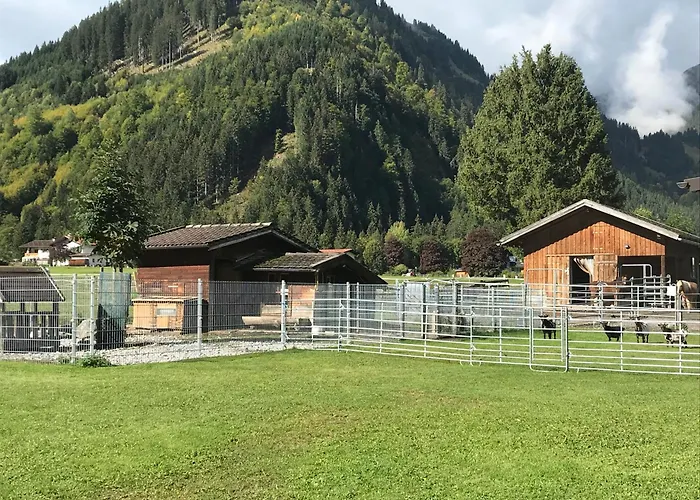 Pony-ziegen-hasen-ranch