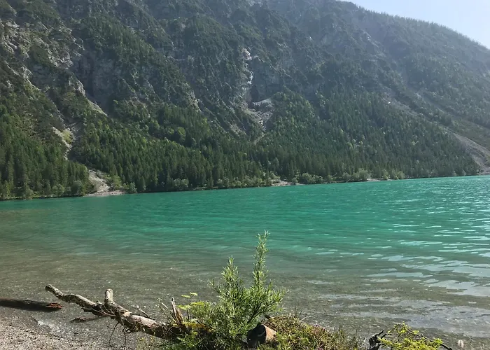 Pony-ziegen-hasen-ranch דירה *