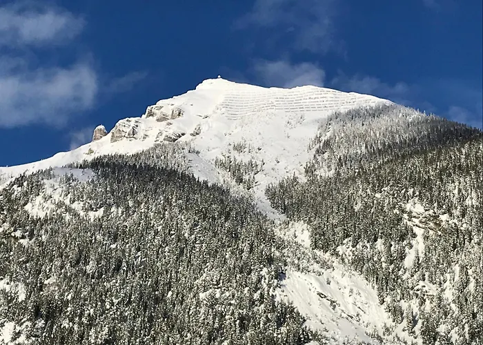 Pony-ziegen-hasen-ranch דירה ביחלבאך