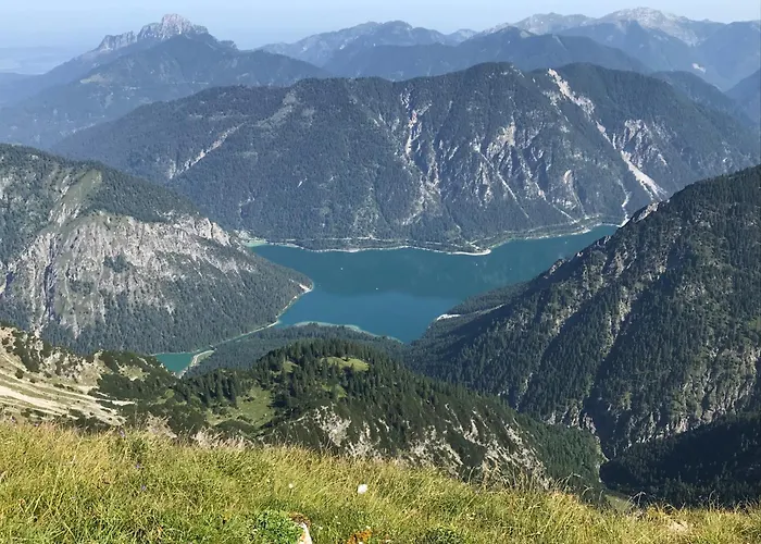 Pony-ziegen-hasen-ranch